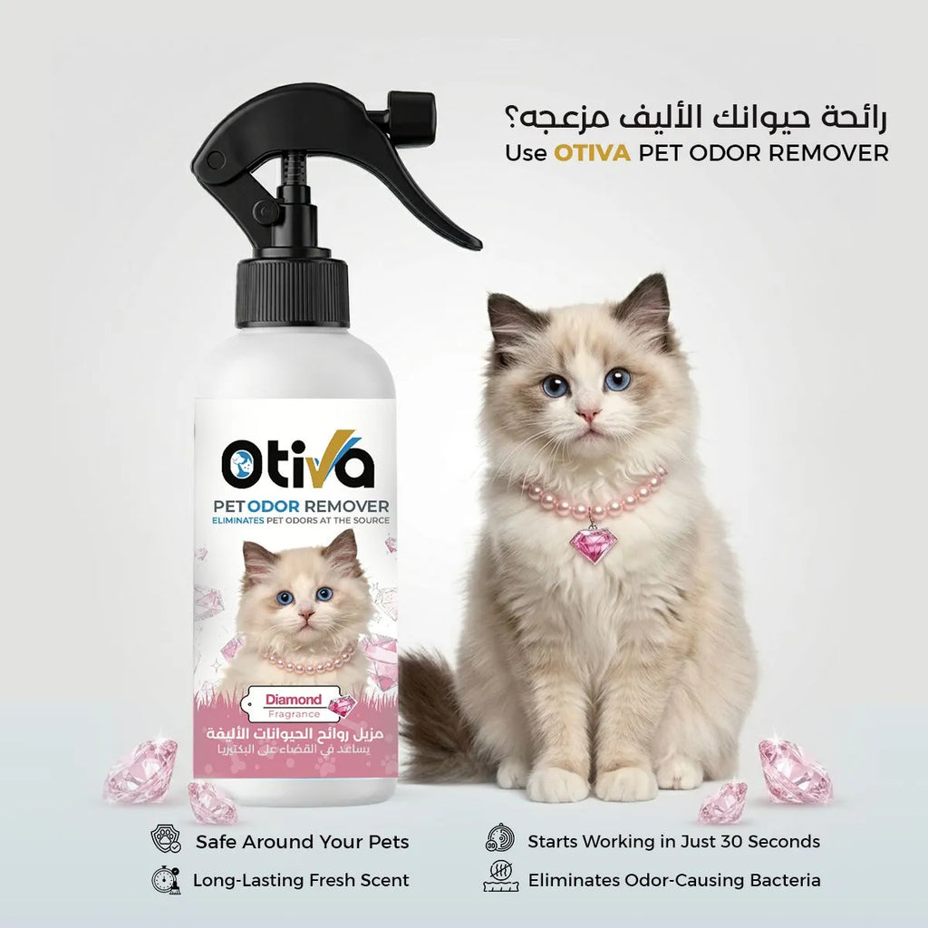 DIAMOND FRAGRANCE